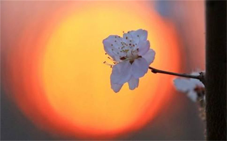 涂磊情感节目求复合，涂磊挽回感情视频