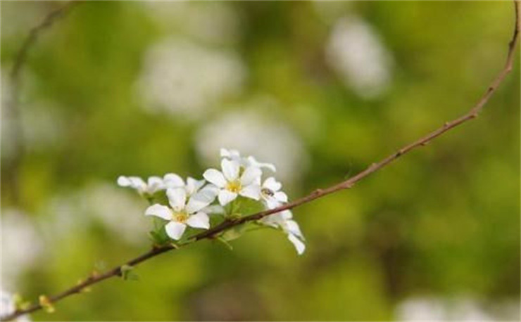 女生问在干嘛怎么回答，女生问在干嘛怎么回答高情商