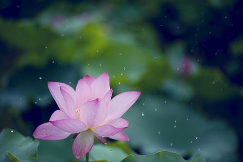 招财辟邪貔貅_招财辟邪貔貅图片