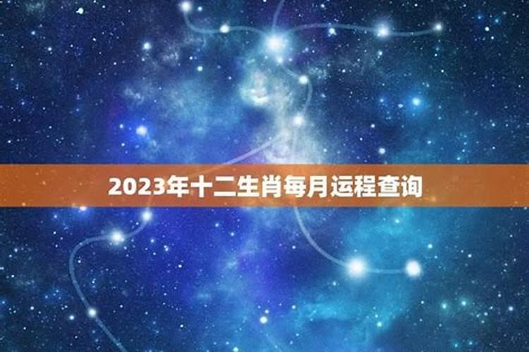 12生肖每日运势天天看2023（猪年哪些生肖犯太岁）