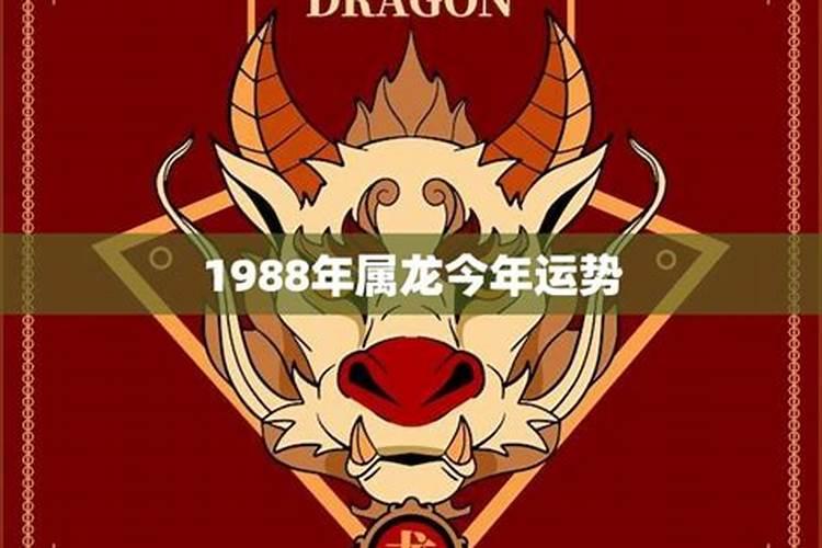 1988年属龙今年运程 犯太岁最忌讳什么颜色的水果和食物