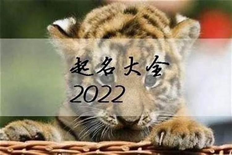 2023年虎宝宝最新最特别乳名（男孩起名字瑞怎么样）