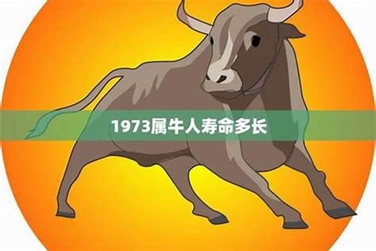 1973年属牛射手座运势_73年属牛的今年的运气