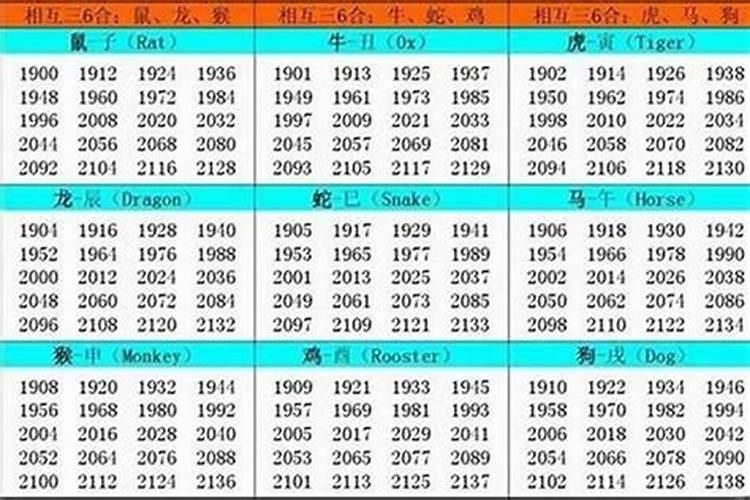 2023年阳历2月8号出生属什么？虎跟马属相