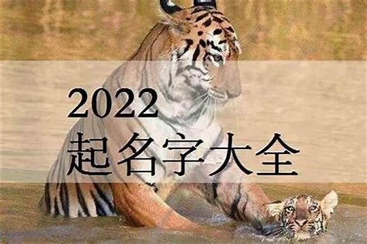 2023属虎男孩最吉利的小名(虎年男孩取什么小名好听)