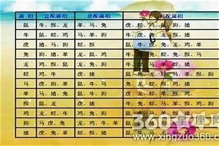 什么属相跟什么属相最好？什么属相结合最好