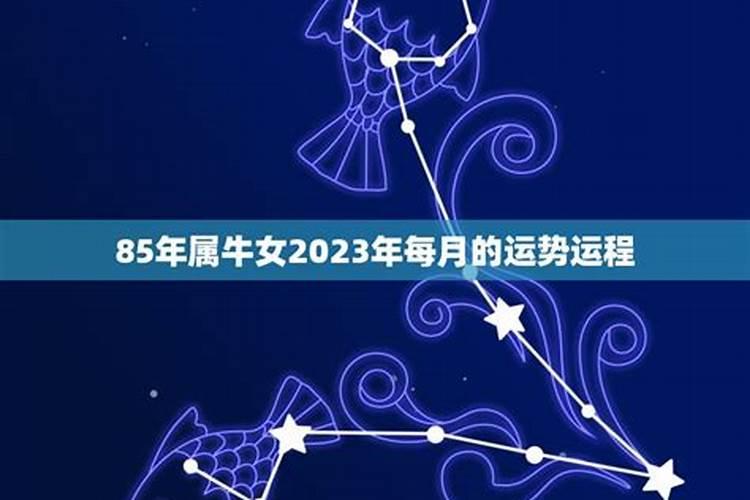 12星座运势2023年每月运势（天秤座的转运）