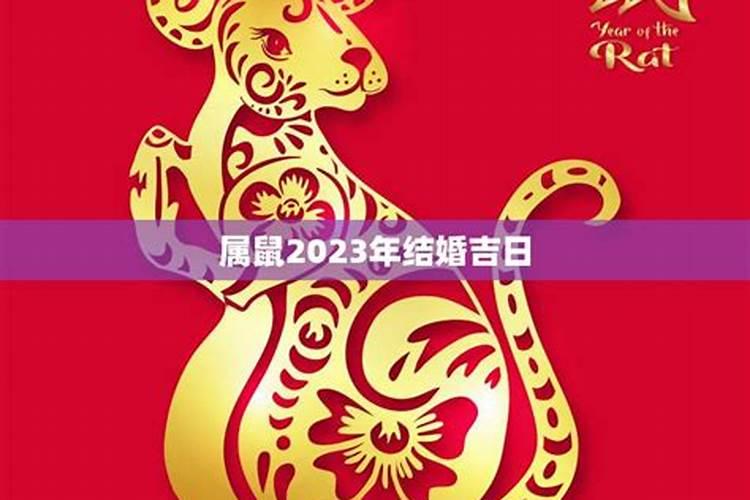 2023年属鼠本命年过生日好吗？本命年的鼠运气好不好呢