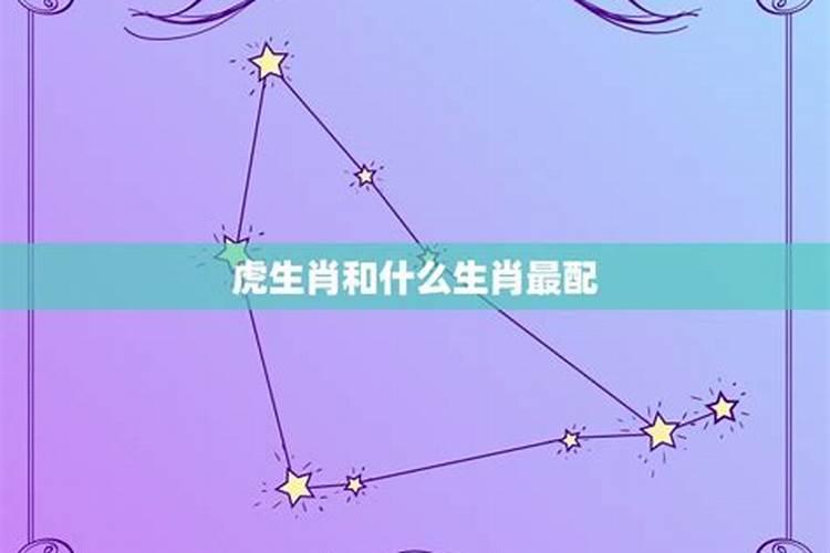 生肖虎与什么生肖最相配？属虎和什么生肖财运好