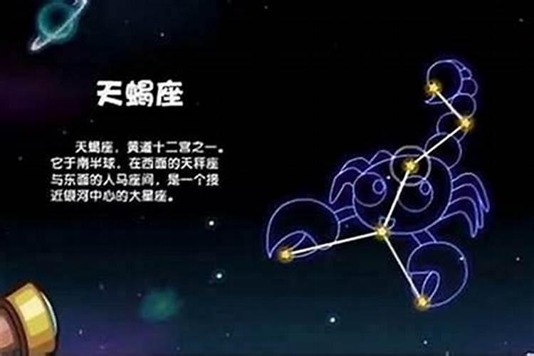 哪个星座最狠心？双鱼座特别狠