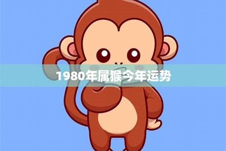 1980年属猴今年运势如何？2023年属猴犯什么太岁