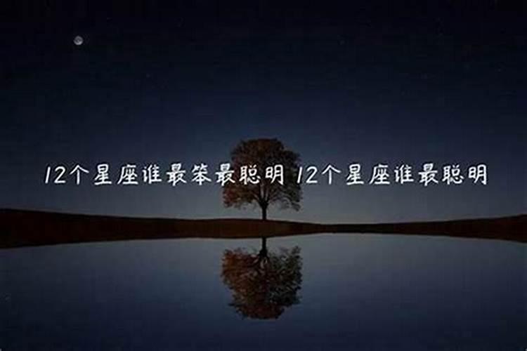 12星座里面哪个最聪明哪个最笨？什么座最聪明是最大的