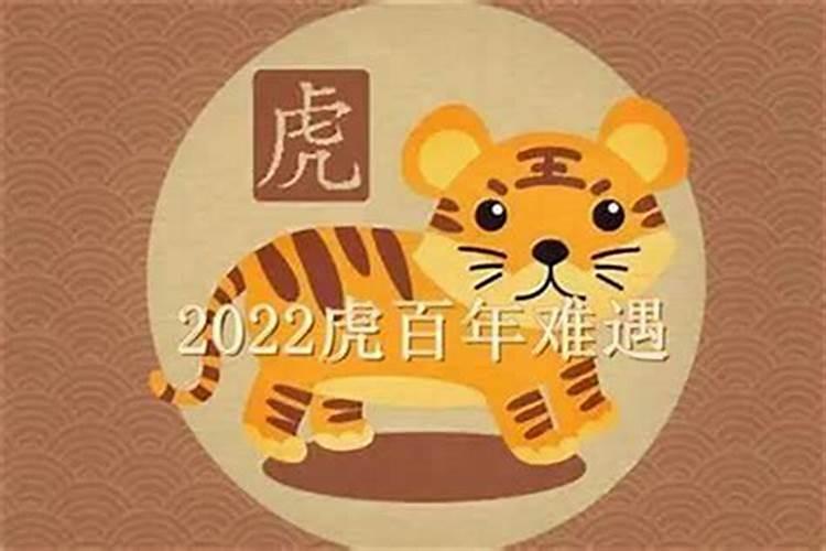 74年的虎在2023年的运势如何？属虎下午出生的女孩