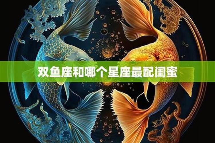 双鱼女最配哪个星座？双鱼座女生与哪个星座最配