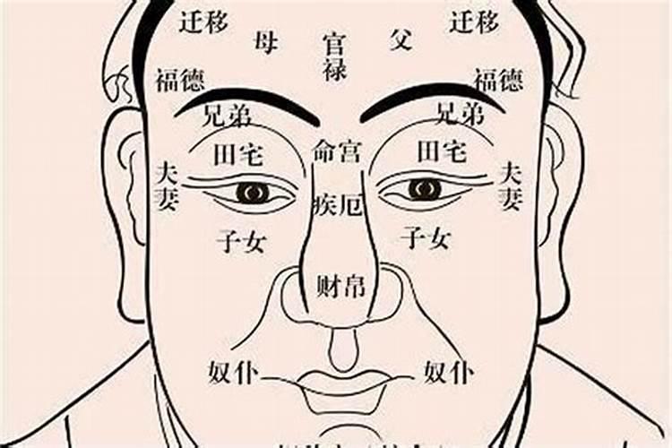 教你怎样从面相看一个人的命运视频？怎么看一个人的命运