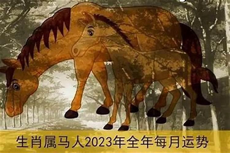 属马人2023感情运势（2022属马感情）